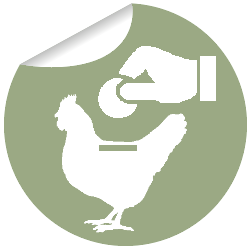 Spende an Kleintierzuchtverein-Grenzland